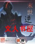 末世逆将封面