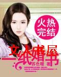 一纸婚书封面