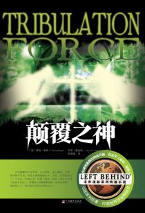 颠覆之神封面