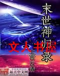 末世神归录封面