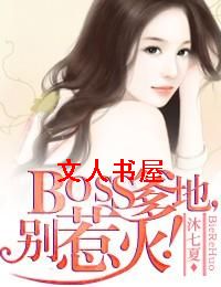 BOSS����,���ǻ𣡷���