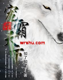 宠霸天下封面