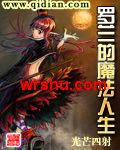 罗兰的魔法人生封面