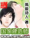 国家建造师全集封面
