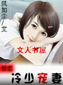 禁恋之冷少宠妻封面