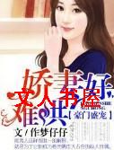 豪门盛宠,娇妻好难哄封面