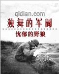 独舞的军阀封面