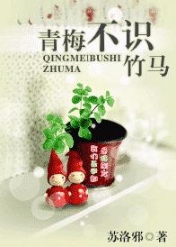 ��÷��ʶ����