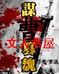 谋曹篡魏封面