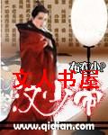 汉少帝封面