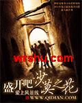 盛开吧沙漠之花封面