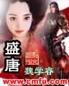 盛唐封面