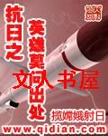 抗日之英雄莫问出处封面