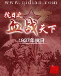 抗日之血战天下封面