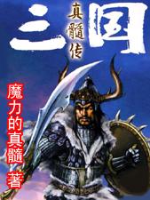 三国真髓传封面