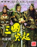 三国突起封面