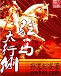 驻马太行侧封面
