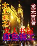 大上海之红色特工封面