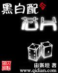 黑白配与芯片封面
