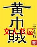 黄巾贼封面