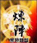 星空之翼封面