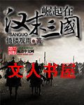 崛起在汉末三国封面