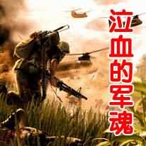 泣血的军魂封面