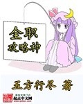 全职攻略神封面