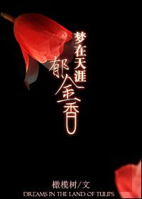 梦在天涯郁金香封面