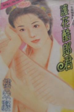 护花酷郎君封面