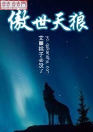 傲世天狼封面