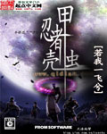 忍者甲壳虫封面