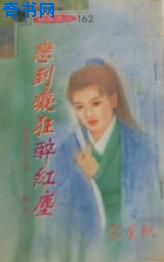恋到痴狂醉红尘封面