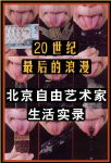 20世纪最后的浪漫封面