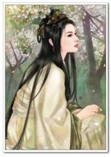命定宫斗封面