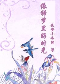 依稀梦里好时光封面
