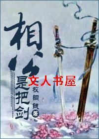 相公是把剑封面