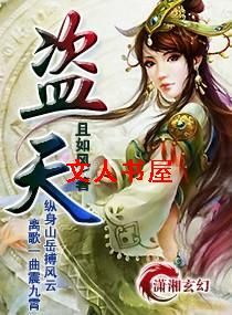 盗-天封面