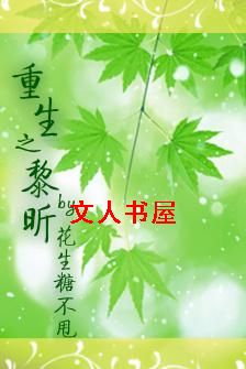 重生之黎昕封面
