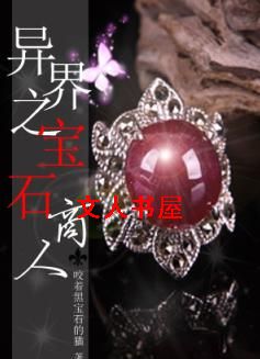 异界之宝石商人封面