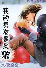 我的男友是条狼封面