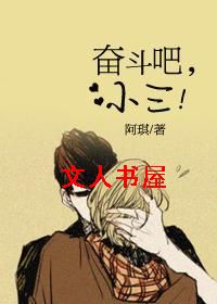 奋斗吧,小三!封面