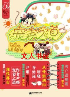 宠妻之道封面
