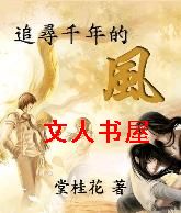 追寻千年的风封面