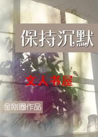 保持沉默封面