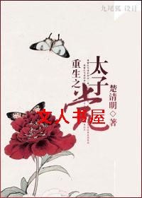 重生之太子党封面